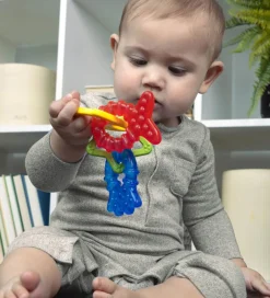 Bideringe - Sæt m. 4 - Cool Critters>Baby Einstein Online