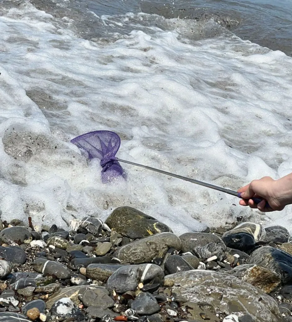 Net - Telescopic Net - Dark Purple>Follow the Duck Hot