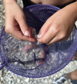 Net - Telescopic Net - Dark Purple><noscript><img width=