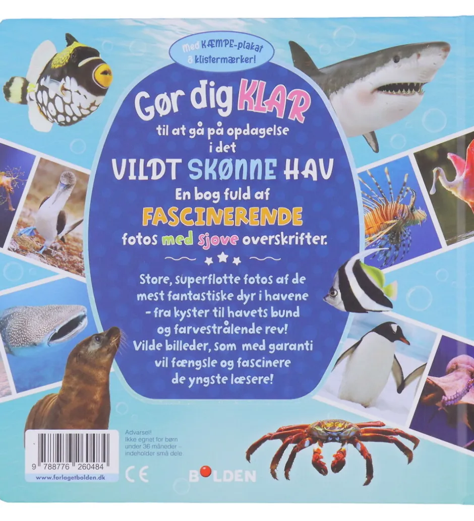 Billedbog - Vildt Skønne Hav>Forlaget Bolden Online