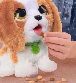 Bamse - Poop-A-Lots - King Charles Spaniel><noscript><img width=