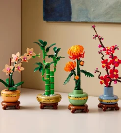 Botanicals - Mini-Orkidé 10343 - 274 Dele><noscript><img width=