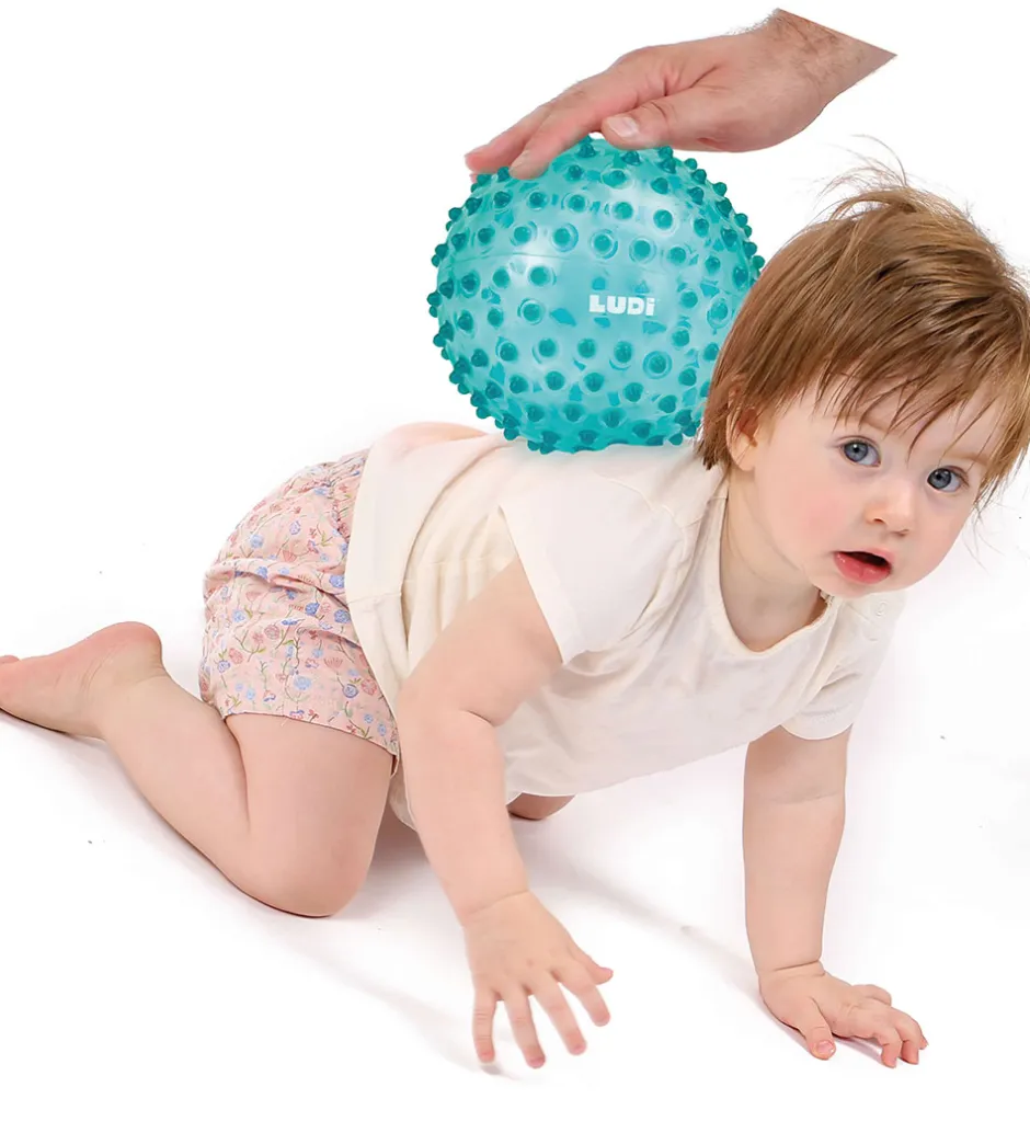 Sansebold - 20 cm - Blå m. Massageknopper>Ludi Discount