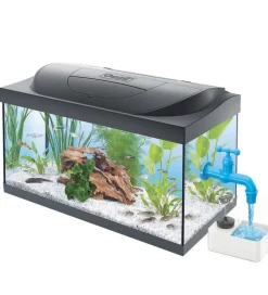 - Green Science - Magisk Vandhane>4M Outlet