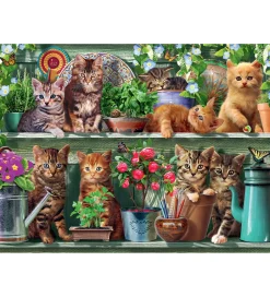 Puslespil - 500 Brikker - Cats On The Shelf>Ravensburger Discount
