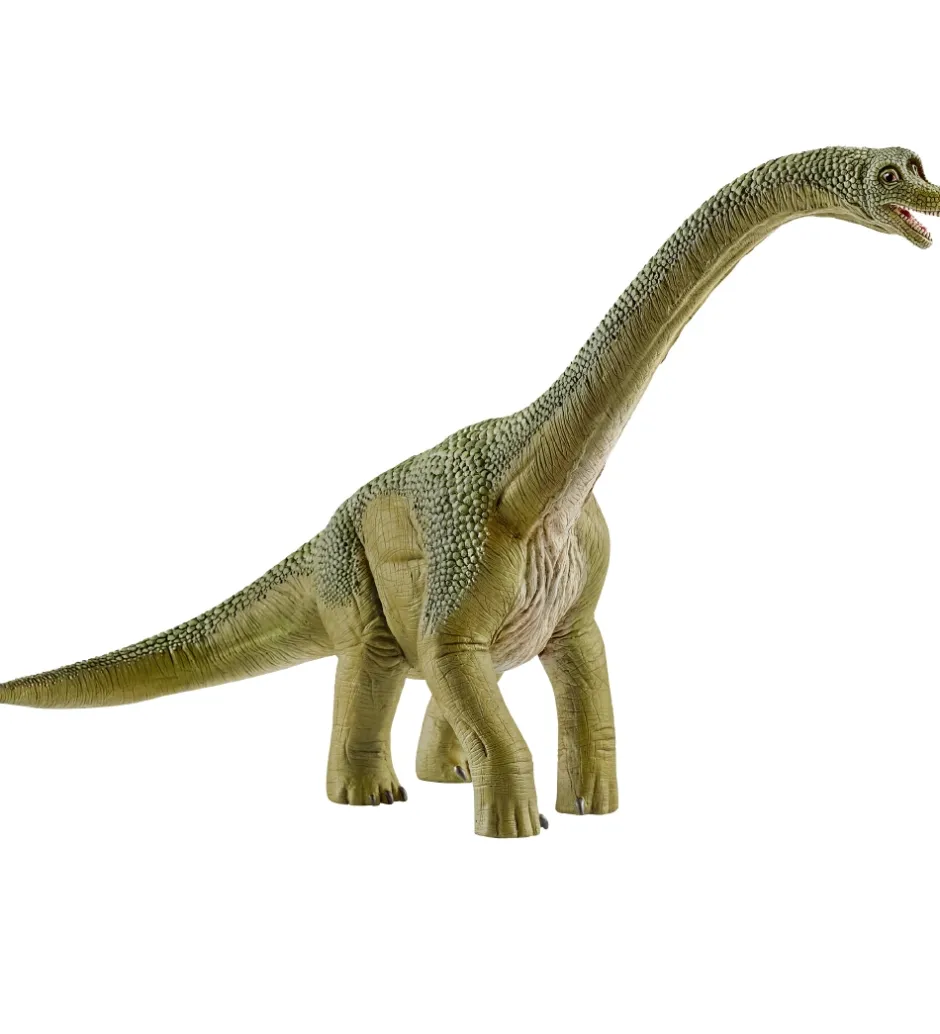 Dinosaurs - Brachiosaurus - H: 18,5 14581>Schleich New