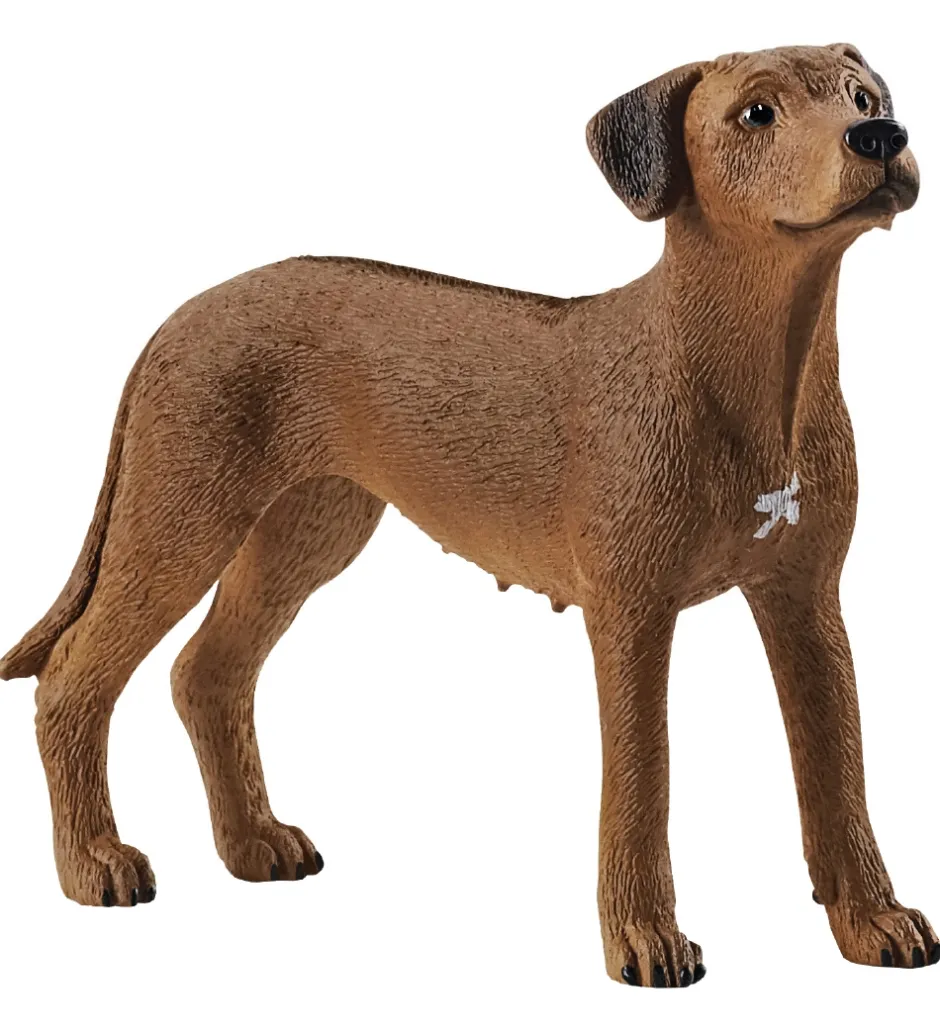 Dyr - H:6 cm - Rhodesian Ridgeback 13895>Schleich Clearance