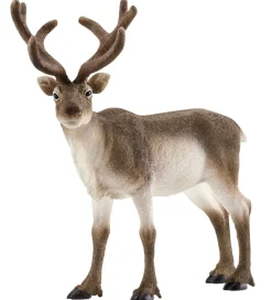 Dyr - L:13 cm - Rensdyr 14837>Schleich Clearance