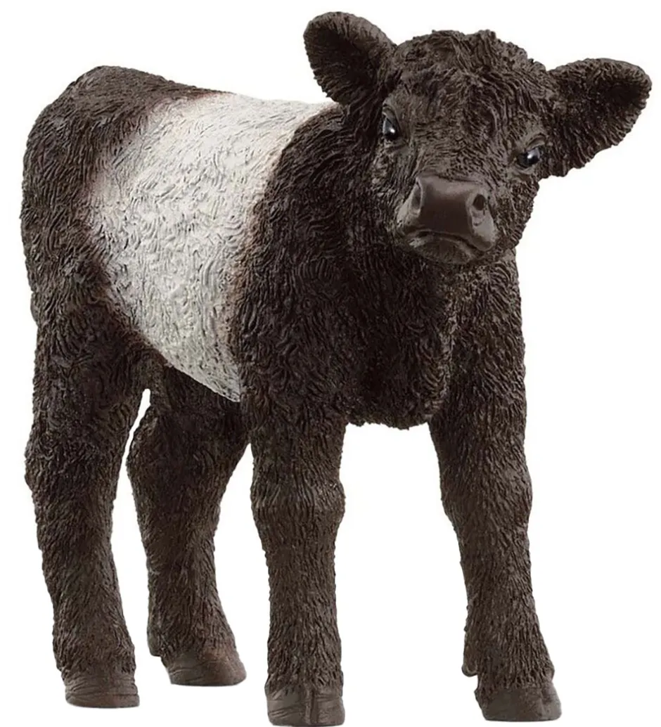 Farm World - Gallowaykalv - H: 5,7 cm - 13969>Schleich Hot