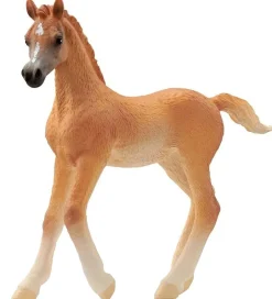 Horse Club - Araberføl - H: 8 cm - 13984>Schleich Online