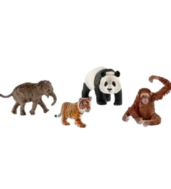 Wild Life - Asia Starter Set - 42736>Schleich Best