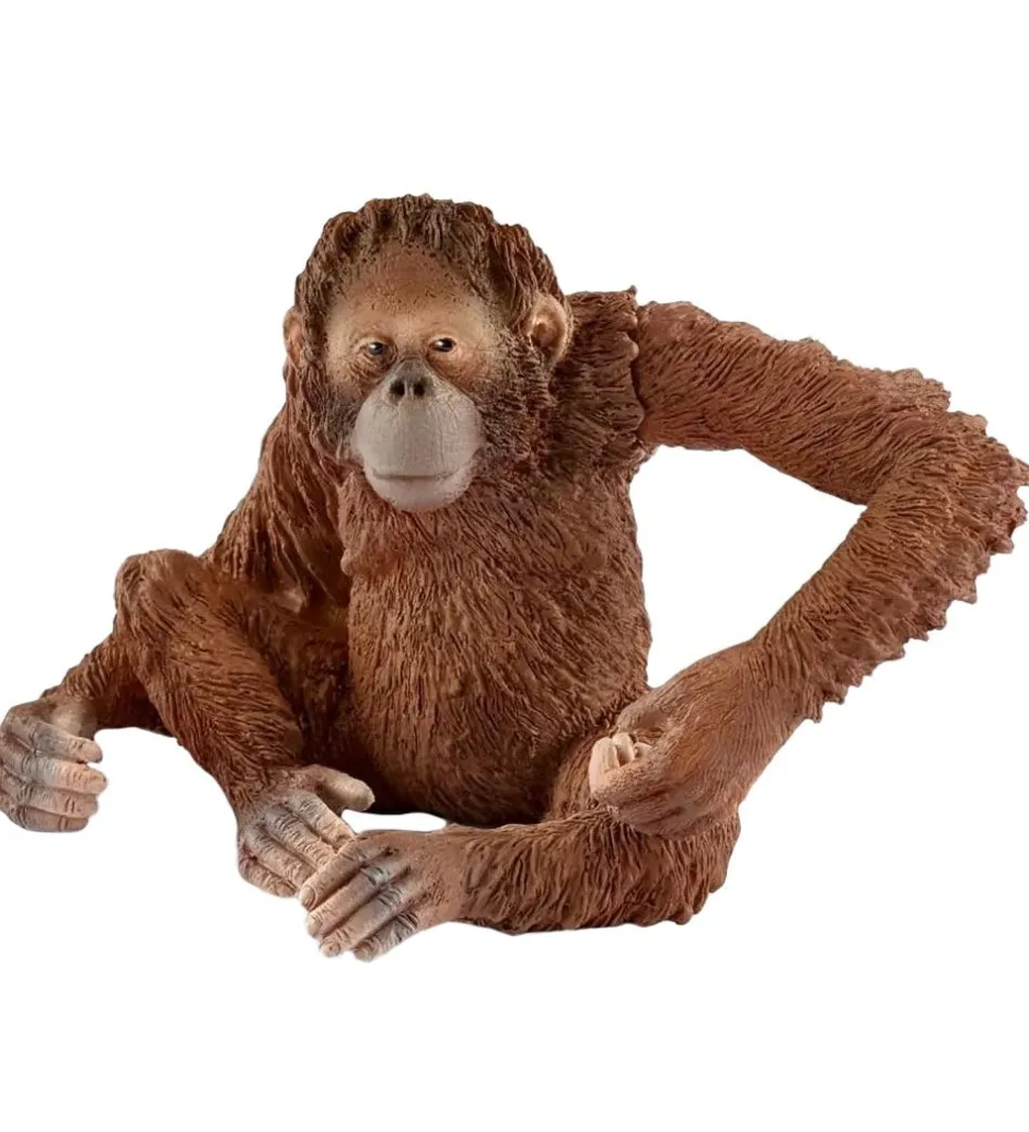 Wild Life - H: 5,5 cm - Orangutan 14775>Schleich Outlet