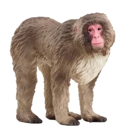 Wild Life - Japansk Makak-abe - H: 6,9 cm - 14871>Schleich Discount