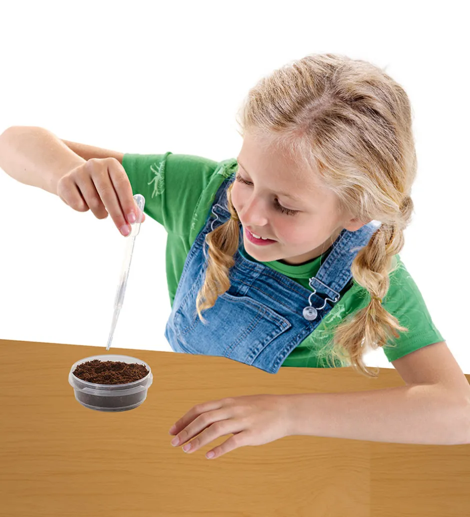 - Explore - Byg Selv Urtehavehus>SES Creative