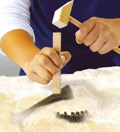 Udhug - Explore - T-rex og Skelet><noscript><img width=