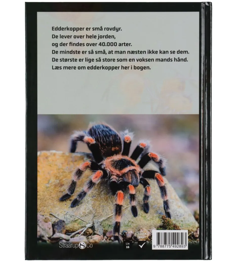 Sampak - Spil & Læs - Edderkopper>Straarup & Co Sale