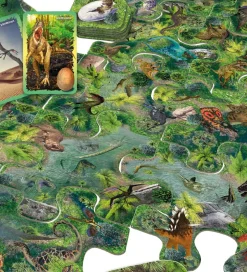 Brætspil - Gemmeleg I Dinosaurparken - Dansk>TACTIC Outlet